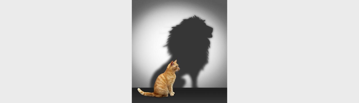 shutterstock_152680601-b